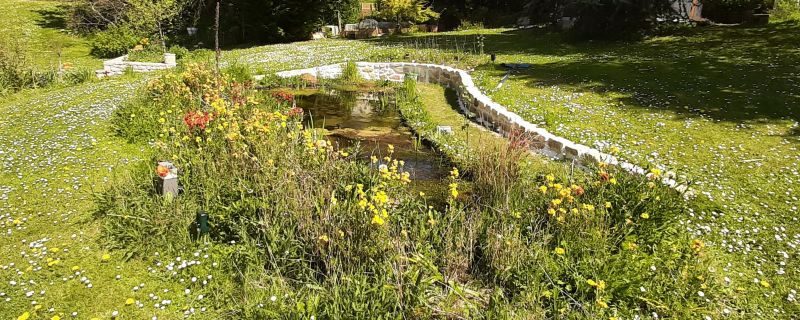 Mare remarquable à Fleurines